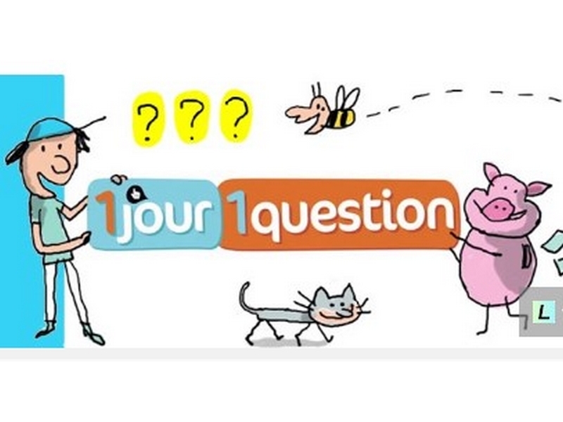 1 jour 1 question